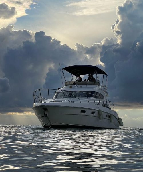 WhatsApp Image 2025-04-28 at 10.00.06_809d15df